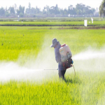 Top Pesticides & Farm Chemicals Supplier in Kenya