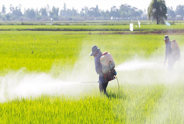 Top Pesticides & Farm Chemicals Supplier in Kenya