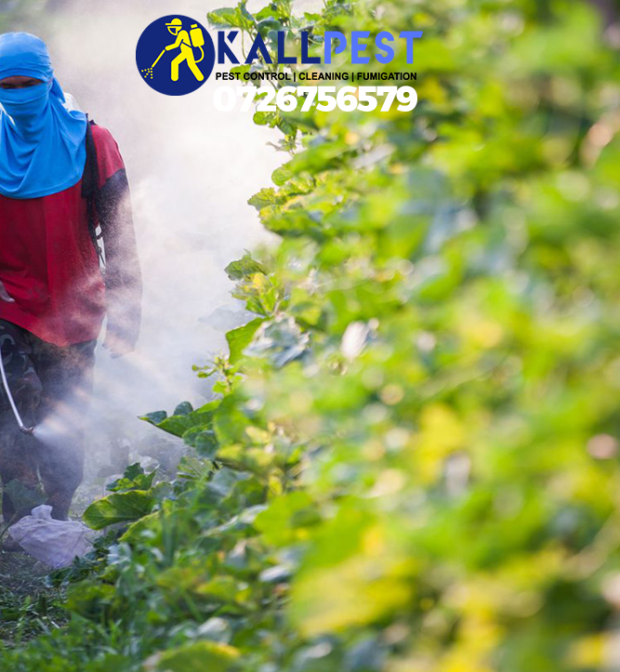 farm-pesticides-supply-kenya-pest-control-fumigation-spraying-disinfection-farm-plants-treatment-cleaning-nairobi-kenya