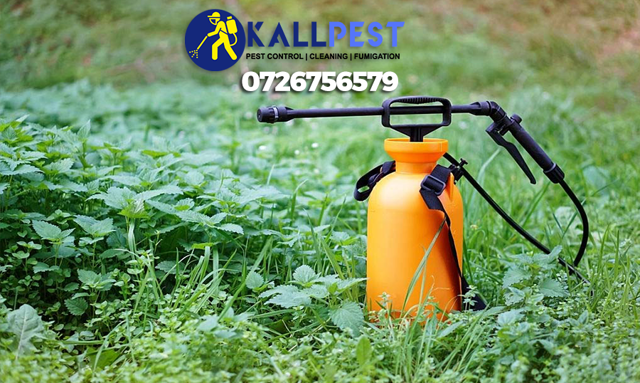 garden-spraying-treatment-fogging-fumigation-pest-control-nairobi-kenya