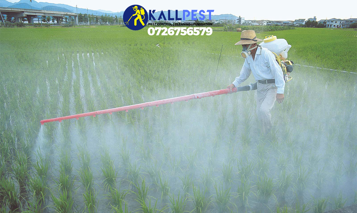 insecticides-supply-kenya-pest-control-fumigation-spraying-disinfection-farm-plants-treatment-cleaning-nairobi-kenya