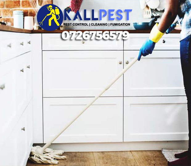 kitchen-cleaning-nairobi-kenya-services
