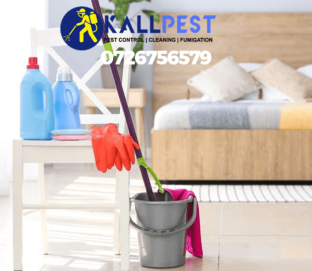 bedroom-cleaning-pest-control-fumigation-spraying-disinfection-farm-plants-treatment-cleaning-nairobi-kenya